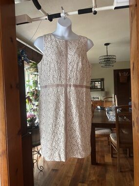 Ann Taylor Sleeveless Cream Lace Shift Women’s Dress Size 18